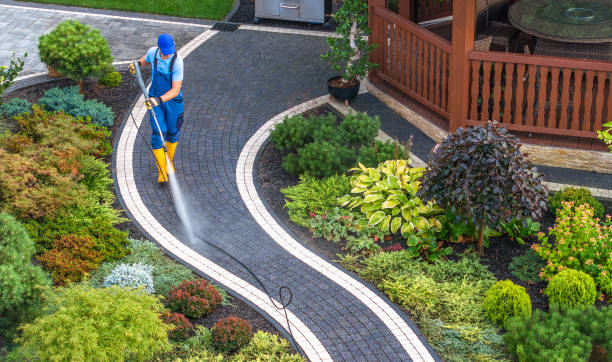 Roof Power Washing Services in Hampton, IL